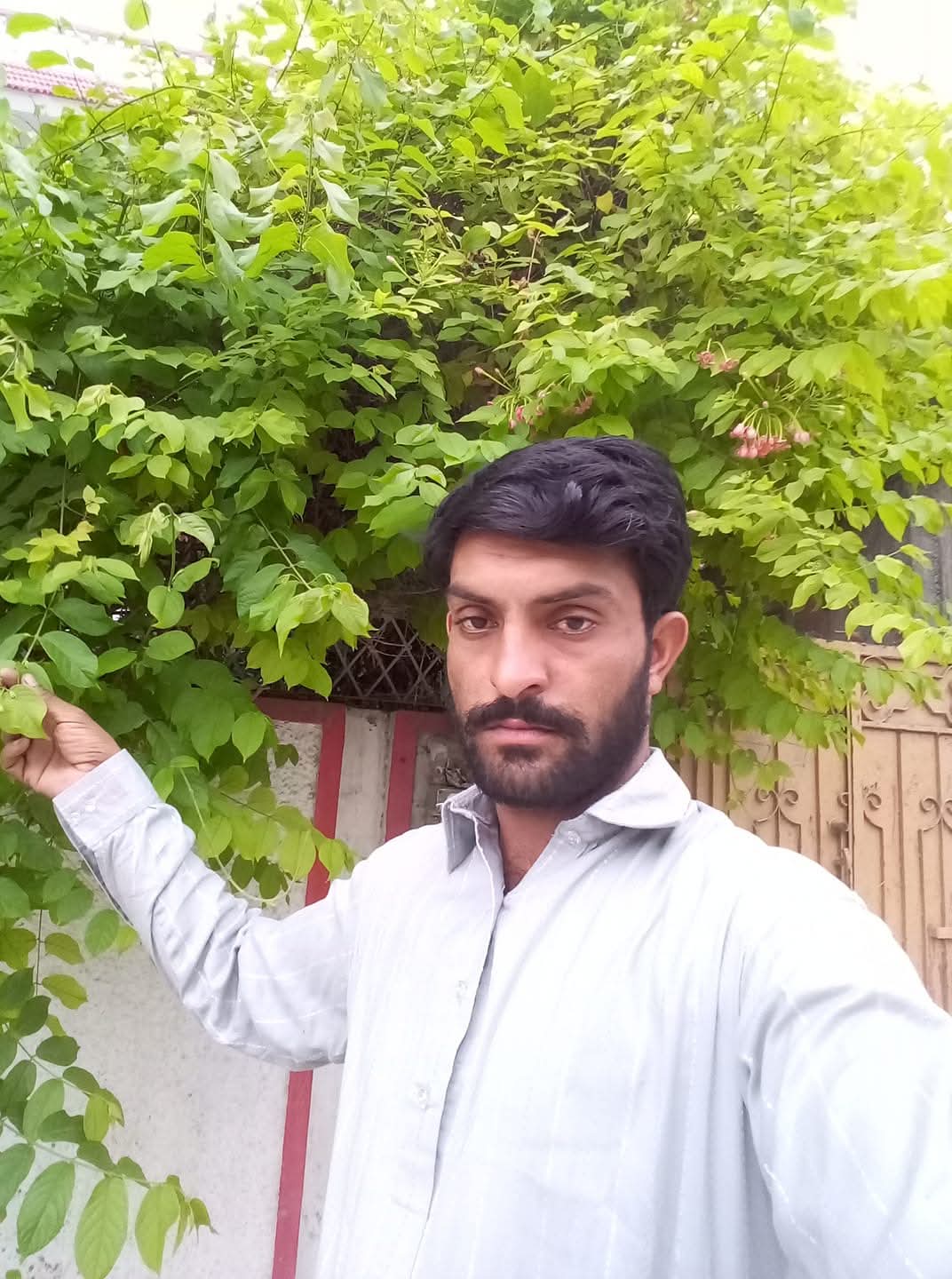 User Photo