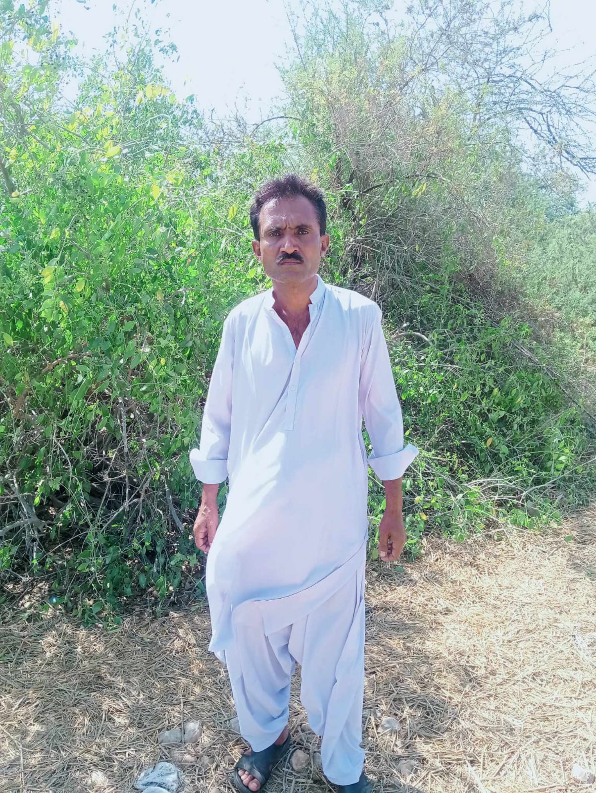 User Photo